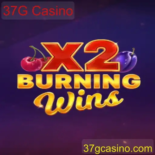 Descubra o Fascinante Mundo de BurningWinsX2 no 37G Casino